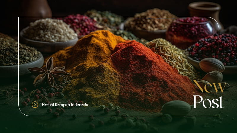 Artikel Herbal Rempah Indonesia 3